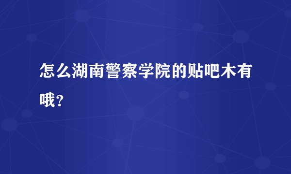 怎么湖南警察学院的贴吧木有哦?