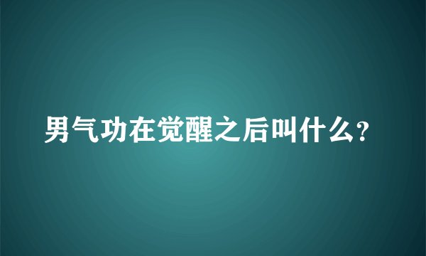 男气功在觉醒之后叫什么？