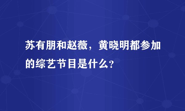 苏有朋和赵薇，黄晓明都参加的综艺节目是什么？