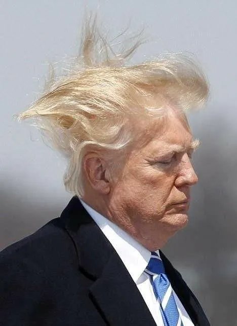 奥巴马这么年轻,为什么不复出竞选2020年的美国总统呢?