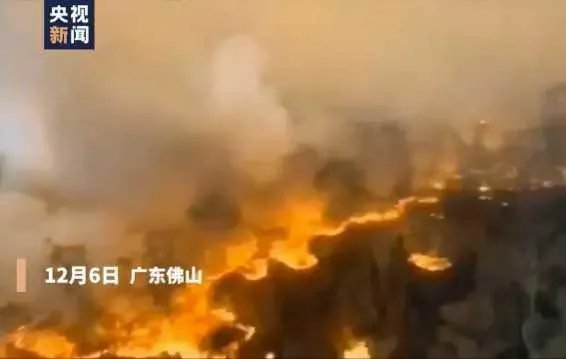 佛山凌云山山火:明火基本扑灭,东线两处复燃被灭, 你怎么看?