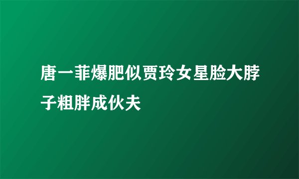 唐一菲爆肥似贾玲女星脸大脖子粗胖成伙夫
