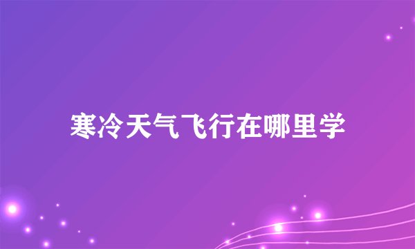 寒冷天气飞行在哪里学