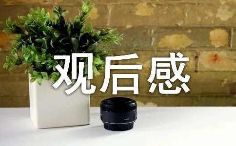 五年规划纪录片第四集:天堑通途观后感