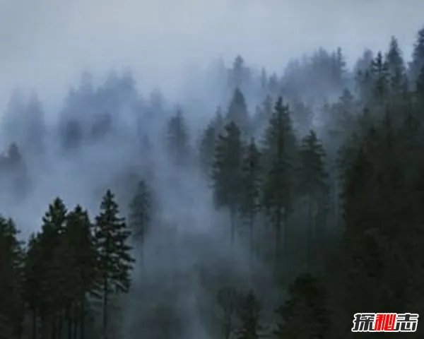 谣言揭秘:民间高人预言2019灾难?(实为烧饼歌)