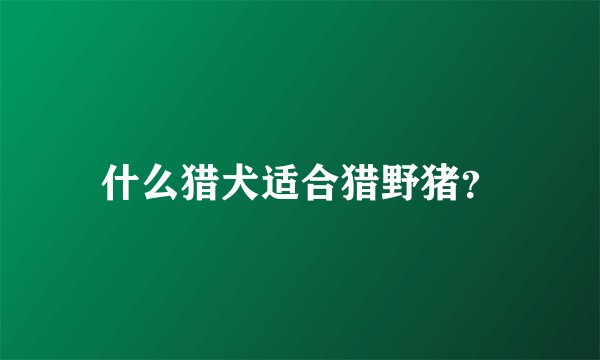 什么猎犬适合猎野猪？