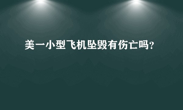 美一小型飞机坠毁有伤亡吗？
