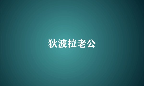 狄波拉老公