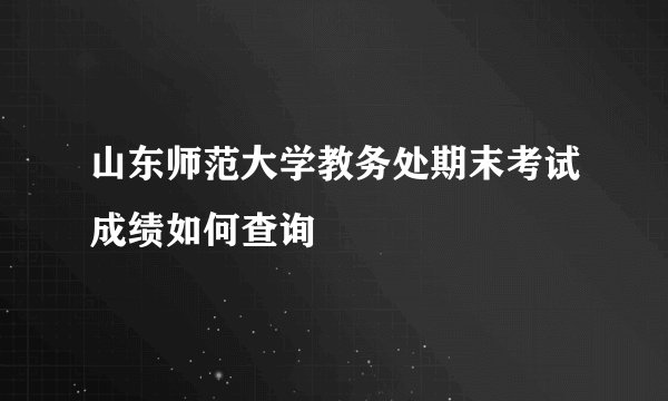 山东师范大学教务处期末考试成绩如何查询