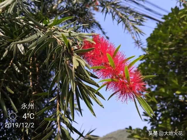 如何欣赏一平面设计作品？