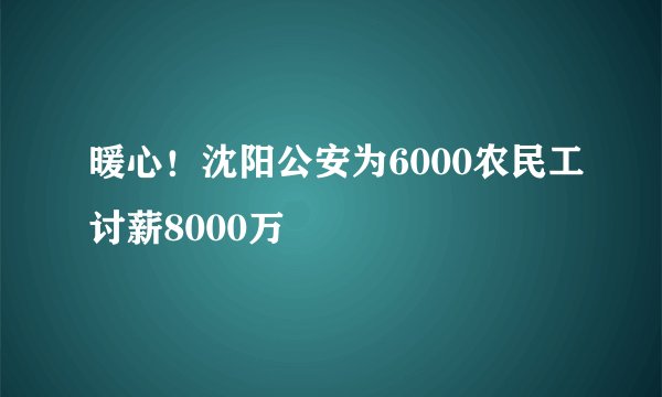 暖心!沈阳公安为6000农民工讨薪8000万