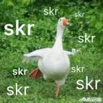 夏天喝什么饮料好？