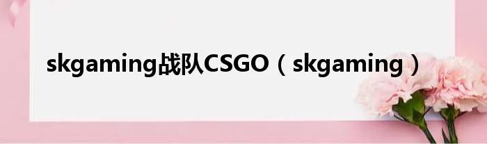 skgaming战队CSGO(skgaming)