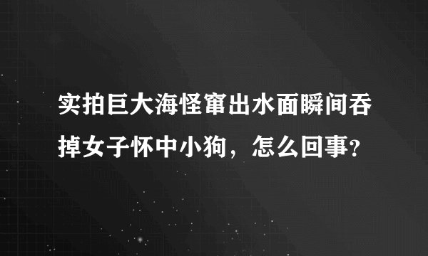 实拍巨大海怪窜出水面瞬间吞掉女子怀中小狗,怎么回事?