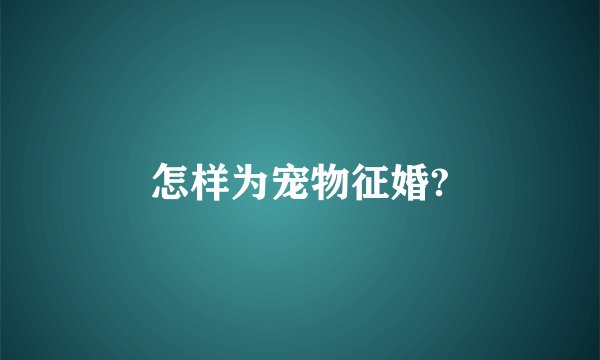 怎样为宠物征婚?