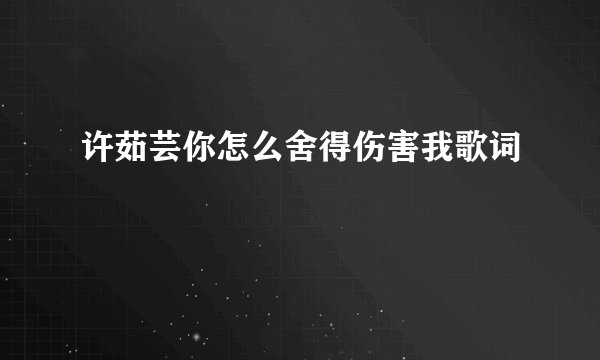 许茹芸你怎么舍得伤害我歌词