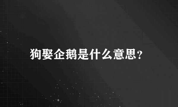 狗娶企鹅是什么意思？