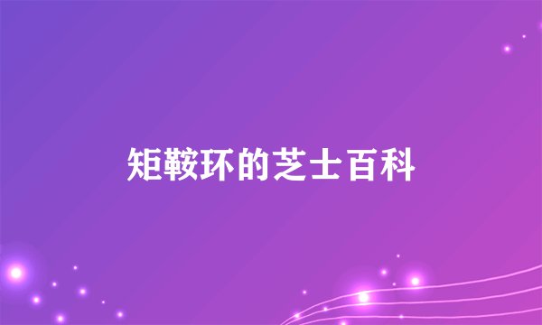 矩鞍环的芝士百科