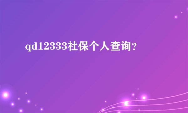 qd12333社保个人查询？