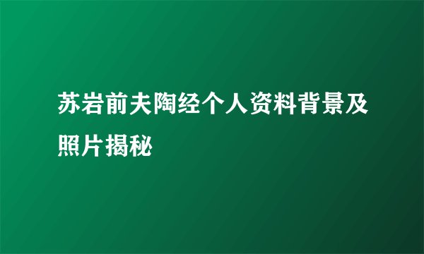苏岩前夫陶经个人资料背景及照片揭秘
