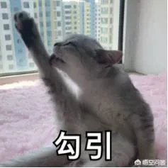 夏天喝什么饮料好？