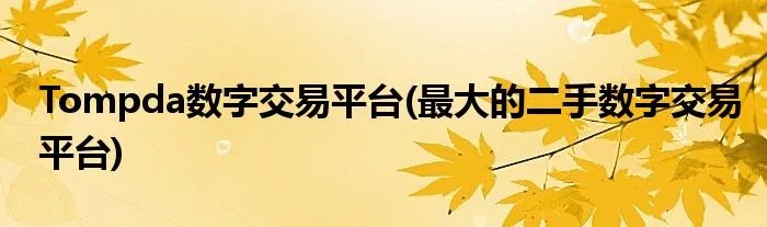 Tompda数字交易平台(最大的二手数字交易平台)