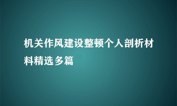 机关作风建设整顿个人剖析材料精选多篇