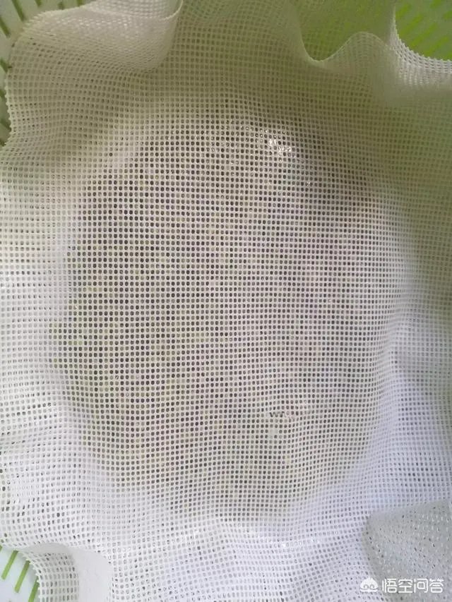 怎样生产豆芽？