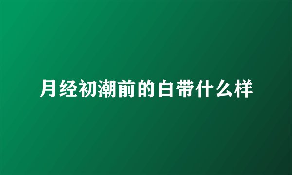 月经初潮前的白带什么样