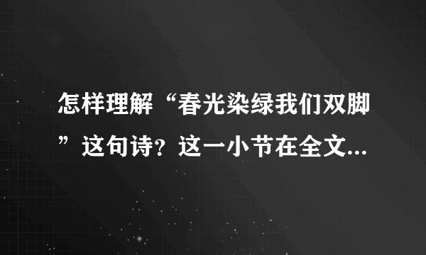 怎样理解“春光染绿我们双脚”这句诗?这一小节在全文中起到什么作用?表达了作者