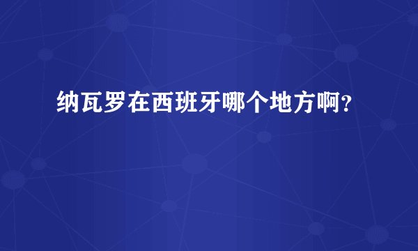纳瓦罗在西班牙哪个地方啊？
