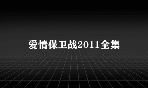 爱情保卫战2011全集