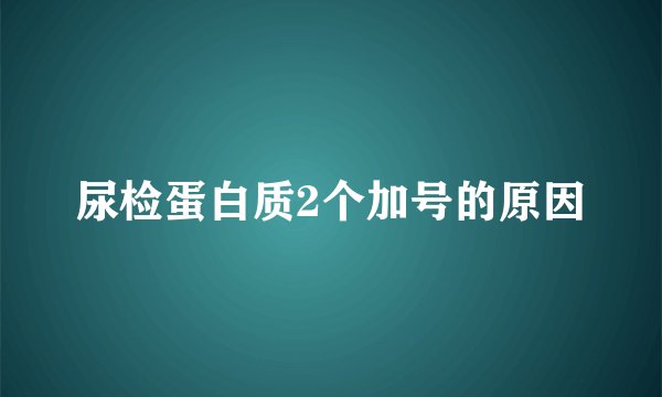 尿检蛋白质2个加号的原因