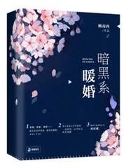 暗黑系暖婚_by顾南西_txt全文免费阅读