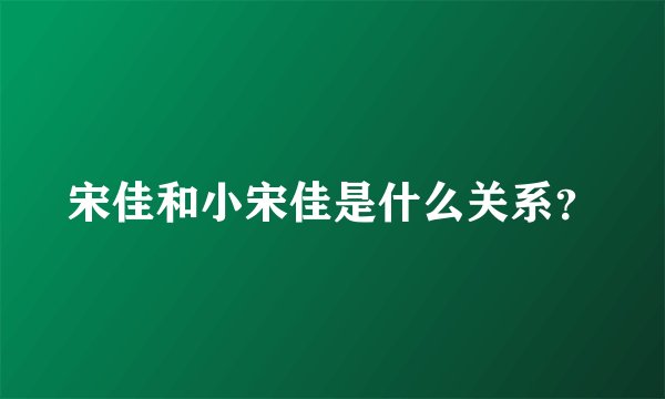 宋佳和小宋佳是什么关系？