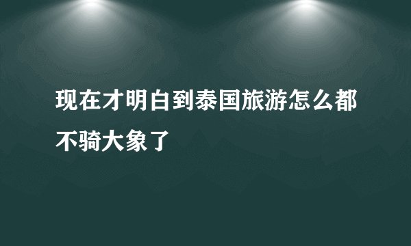 现在才明白到泰国旅游怎么都不骑大象了