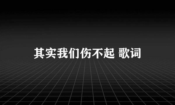 其实我们伤不起 歌词