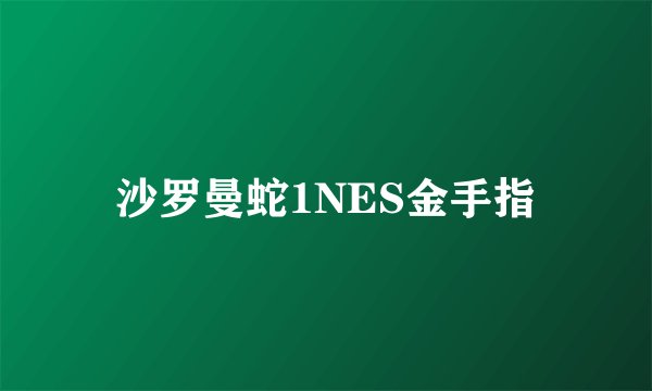 沙罗曼蛇1NES金手指