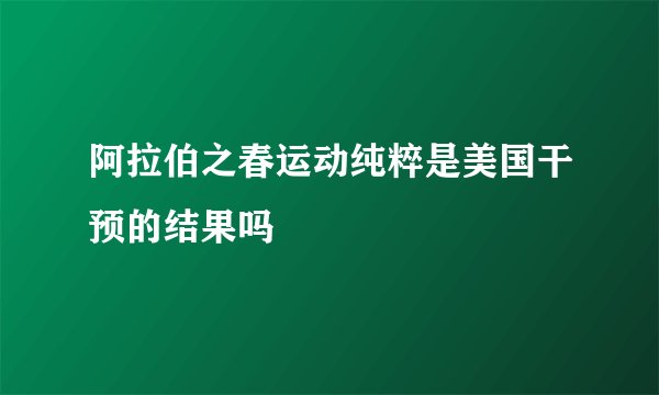 阿拉伯之春运动纯粹是美国干预的结果吗
