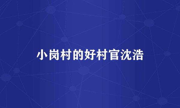 小岗村的好村官沈浩