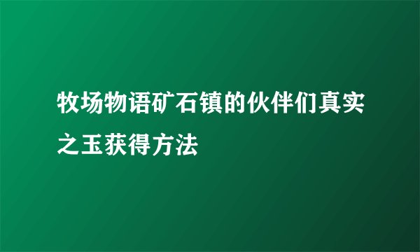 牧场物语矿石镇的伙伴们真实之玉获得方法