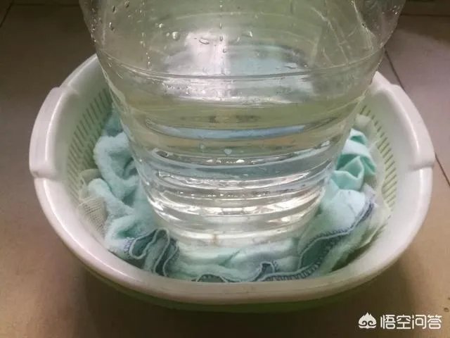 怎样生产豆芽？