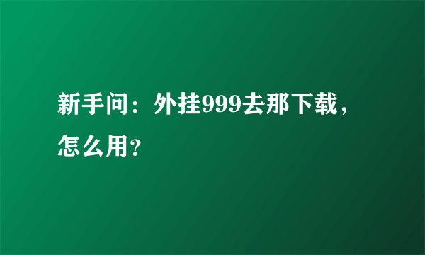 新手问：外挂999去那下载，怎么用？
