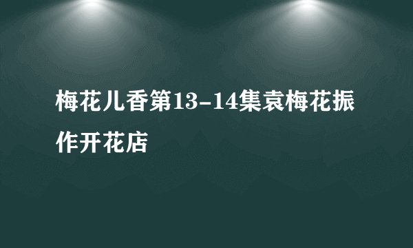 梅花儿香第13-14集袁梅花振作开花店