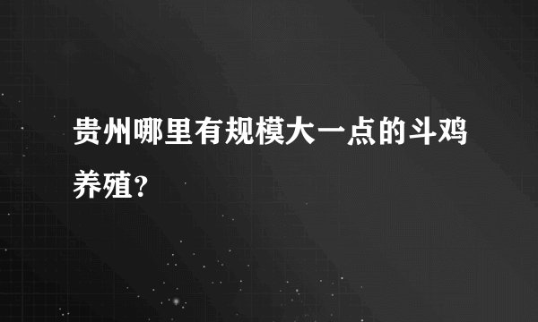 贵州哪里有规模大一点的斗鸡养殖？