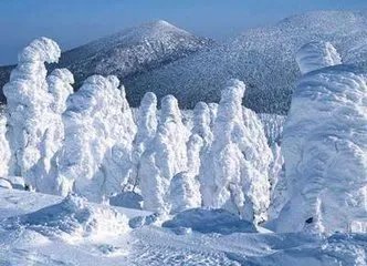 日本景点遭汉字涂鸦,还有哪些类似事件?