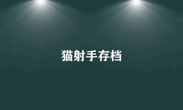 猫射手存档