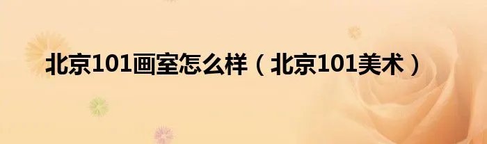 北京101画室怎么样（北京101美术）