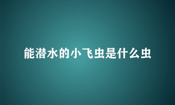 能潜水的小飞虫是什么虫