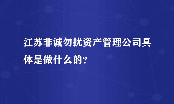 江苏非诚勿扰资产管理公司具体是做什么的？